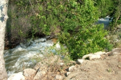 DSCF0119