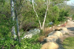 DSCF0125
