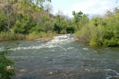 DSCF0129