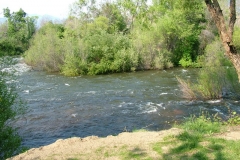 DSCF0130