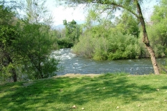 DSCF0131