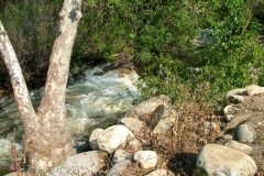DSCF0133