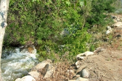 DSCF0134