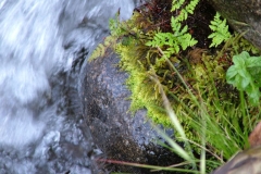 DSCF0140
