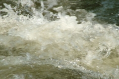 DSCF0141