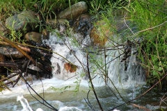 DSCF0142