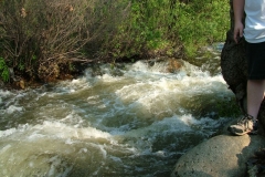 DSCF0146