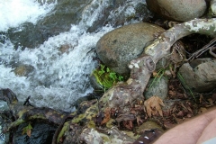 DSCF0148