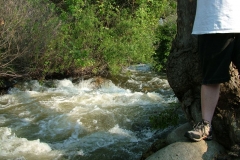 DSCF0149