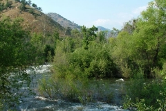 DSCF0152