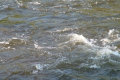 DSCF0156