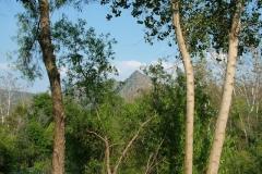 DSCF0158