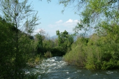DSCF0159