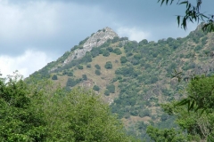 DSCF0161