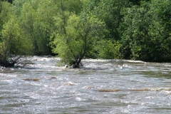 DSCF0163