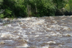 DSCF0165
