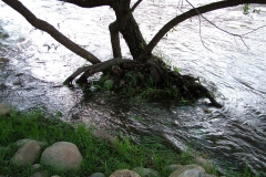 DSCF0168