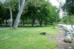 DSCF0172