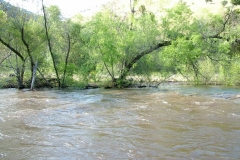 DSCF0173