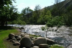 DSCF0174