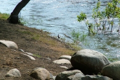 DSCF0175