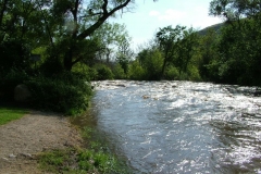 DSCF0177