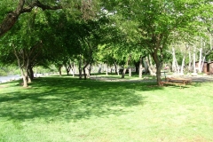 DSCF0181