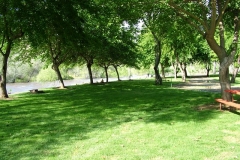 DSCF0183