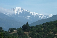DSCF0196