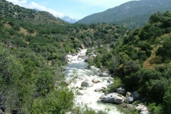 DSCF0200