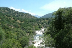DSCF0203