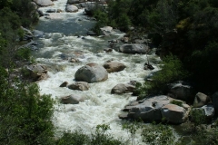DSCF0205