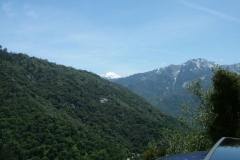 DSCF0210
