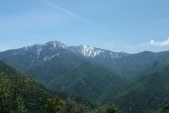 DSCF0211
