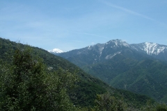 DSCF0212