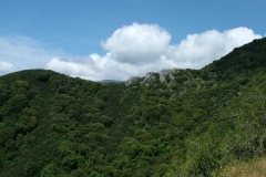 DSCF0213