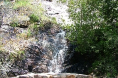 DSCF0217