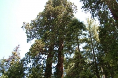 DSCF0220