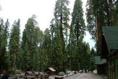 DSCF0225