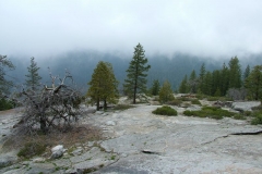 DSCF0228