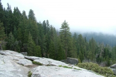 DSCF0230