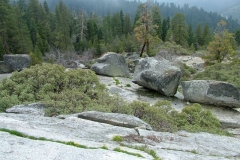 DSCF0232