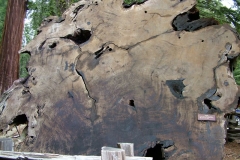 DSCF0234