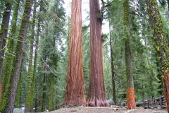 DSCF0235