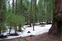 DSCF0236