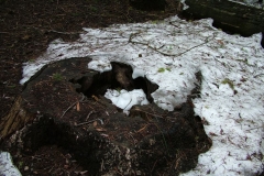 DSCF0237