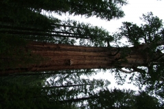 DSCF0238