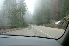 DSCF0247