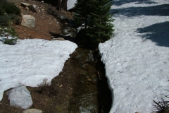 DSCF0251