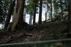 DSCF0252